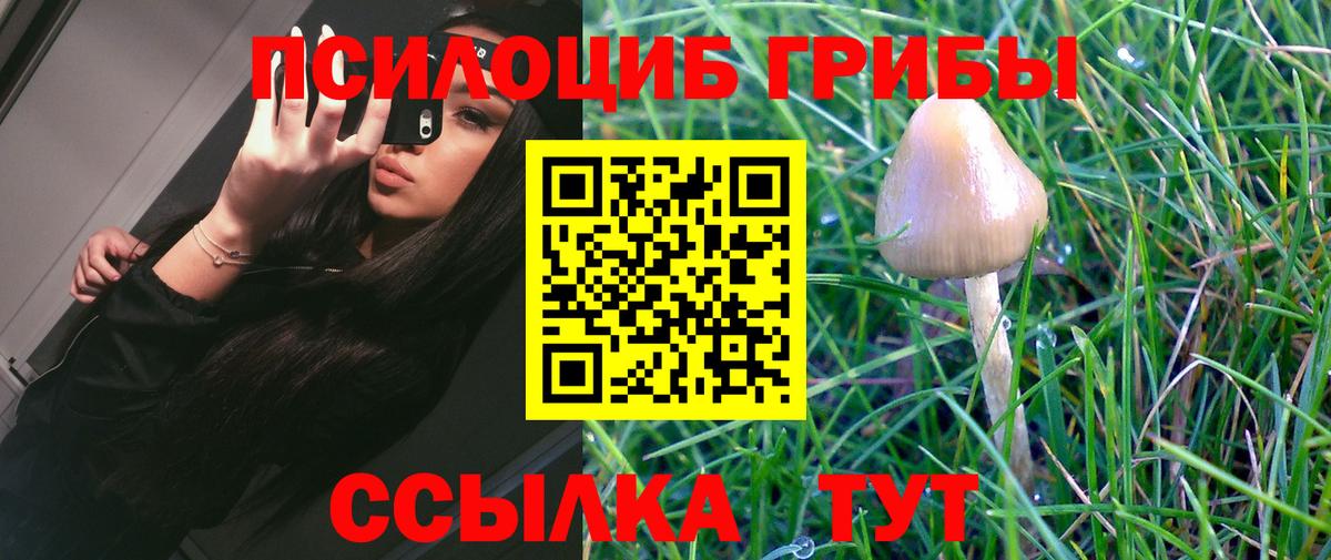 Псилоцибиновые грибы Cubensis  Вход с VPN  купить закладку  Заводоуковск 